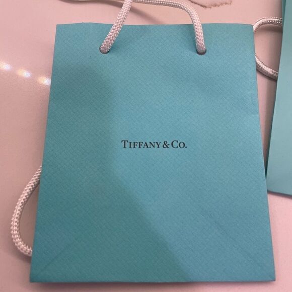 Tiffany & Co. Gift Bags - Picture 5 of 5